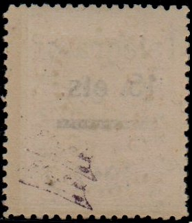 H163 back