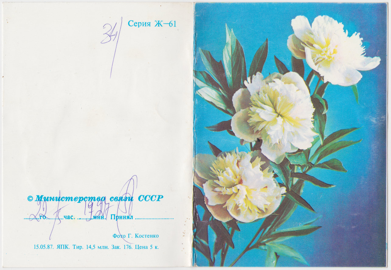 17-02-88 ЯПК - b