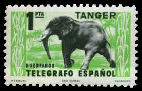 Tanger-Huerfanos-1