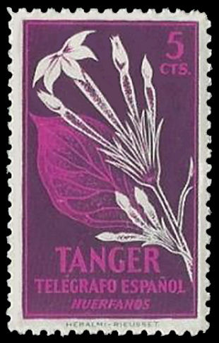 Tanger-Huerfanos-2