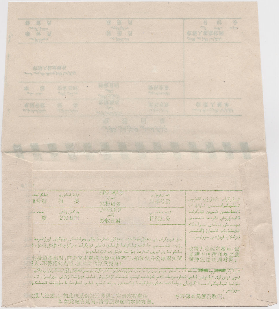 Xinjiang form 1306 - back